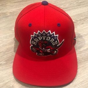 Toronto raptors SnapBack hat